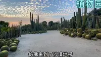 厦门市园林植物园，国内唯一建在城市中心区域的植物园