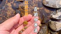 一起感受福建宁德霞浦杨家溪里的自然山水，我挖到了淡水的小蛤蜊