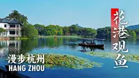 【漫步杭州】西湖花港观鱼，杭州真是一座被公园包围的城市。