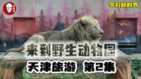 自驾游来到了天津津翔野生动物园 ❚ 天津旅游第2集 ❚ 李毅勤的秀