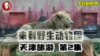 自驾游来到了天津津翔野生动物园 ❚ 天津旅游第2集 ❚ 李毅勤的秀