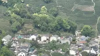 周杰伦打卡的龙井村，不但以出产“绿茶皇后”西湖龙井”闻名，茶园风光也非常美，每年春天我都会带朋友去徒步