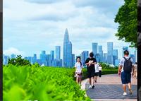 深圳湾公园14个主题园详细介绍攻略