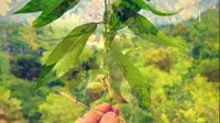 宾得拍片～黄陂花乡茶谷一日游