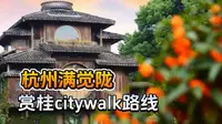 2025杭州满觉陇最佳赏桂Citywalk路线