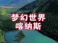 六月的喀纳斯究竟有多美？