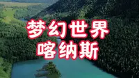 六月的喀纳斯究竟有多美？