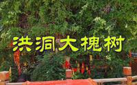 被誉为华人老家根祖圣地的洪洞大槐树景区，不愧是寻根祭祖的圣地