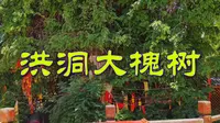 被誉为华人老家根祖圣地的洪洞大槐树景区，不愧是寻根祭祖的圣地
