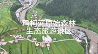 自驾青南阿坝甘孜-青海省果洛藏族自治州班玛县玛柯河原始森林