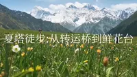 夏塔徒步：从转运桥到鲜花台