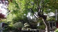 湖北荆州张居正故居是纪念明代改革家、承载万历新政历史的 AAA 级文旅地标。