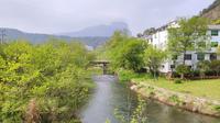 浙江省温州市乐清市跑山圣地-白石（中雁荡山风景区）