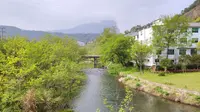 浙江省温州市乐清市跑山圣地-白石（中雁荡山风景区）