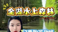 小众旅游地 体验现实版的绿野仙踪 就去金湖水上森林