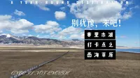 【治愈系】赛里木湖-西海草原站