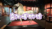 2025-4-10，打卡《襄阳博物馆》