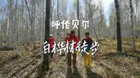 恩和俄罗斯民族乡，大兴安岭白桦林穿越，森林深处的小众秘境！