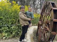 圩墩遗址公园遛娃赏花