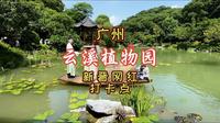 广州云溪植物园，又一个广州网红打卡点诞生，山水相容，人与自然和谐共生。