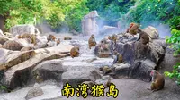 第一次坐跨海索道，登上海南的南湾猴岛，数千只猕猴，真有意思!