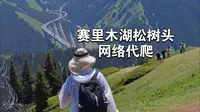 赛里木湖松树头攻略