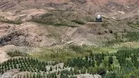 永昌县“武当山”又名金山，北武当山，属祁连山余脉，相对高度约300米，山势雄奇，孤峰拔地而起，是永昌最具代表性的古建筑群。#永昌县 #武当山