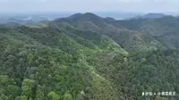 灵秀韶山冲，贵穴虎歇坪