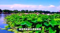 保定市安新白洋淀景区，领略自然与人文之美