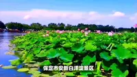 保定市安新白洋淀景区，领略自然与人文之美