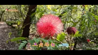 厦门五老峰南徒步