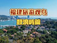 有观鸟buff的旅游是什么体验-鼓浪屿篇