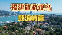 有观鸟buff的旅游是什么体验-鼓浪屿篇