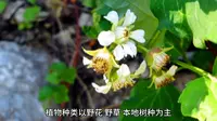浙江省台州市温岭市东辉公园