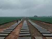 探访汉魏洛阳城遗址