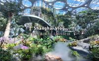 上海Vlog｜是谁2025年才去逛温室花园？