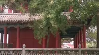 在河南新乡辉县百泉风景区散步