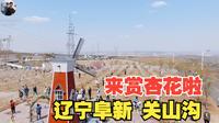春天当然要看杏花啦 辽宁阜新关山沟 杏花节