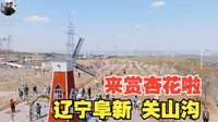 春天当然要看杏花啦 辽宁阜新关山沟 杏花节
