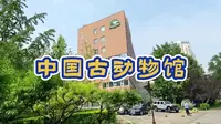 北京必打卡的小众有趣博物馆，中国古动物馆