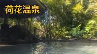 【云南游记05】体验腾冲荷花温泉，再回百年老宅家常菜，和顺茄肉薄荷排骨百合丸子汤