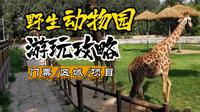 北京野生动物园详细游玩攻略，含避坑建议！