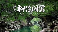 【漫步杭州】从柳浪闻莺漫步到长桥公园，看鸳鸯戏水、杨柳摇曳，听小鸟啾啾、湖水潺潺