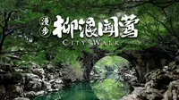 【漫步杭州】从柳浪闻莺漫步到长桥公园，看鸳鸯戏水、杨柳摇曳，听小鸟啾啾、湖水潺潺