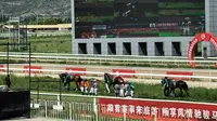 【中国赛马】更有激情的赛场——内蒙古呼和浩特。观草原风光，看速度赛马
