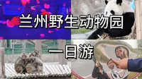 研三Vlog 9  | 兰州野生动物园一日游 | 🐼大熊猫 | 🪼水母
