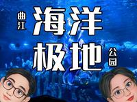 曲江海洋极地公园游玩攻略
