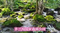 东北避暑之旅（12）茅兰沟国家森林公园