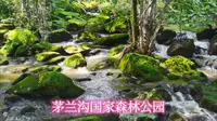 东北避暑之旅（12）茅兰沟国家森林公园