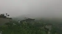 青州仰天山国家森林公园雨前